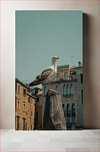 Πίνακας, Seagull in the City Γλάρος στην Πόλη