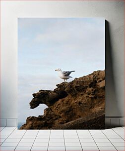 Πίνακας, Seagull on Cliff Γλάρος στον γκρεμό