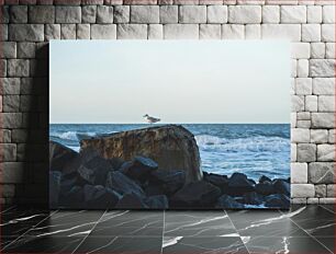 Πίνακας, Seagull on Rock by the Sea Seagull on Rock by the Sea