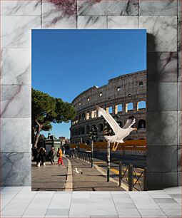 Πίνακας, Seagulls at the Colosseum Γλάροι στο Κολοσσαίο