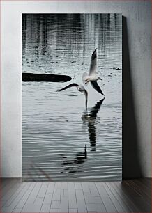 Πίνακας, Seagulls in Flight Over Water Γλάροι σε πτήση πάνω από το νερό