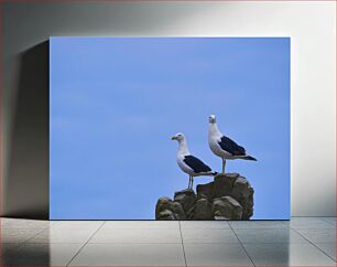 Πίνακας, Seagulls on Rocks Γλάροι σε βράχους