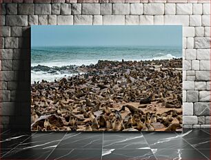 Πίνακας, Seal Colony by the Sea Αποικία φώκιας δίπλα στη θάλασσα