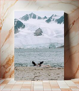 Πίνακας, Seal on a Beach with Snowy Mountains Φώκια σε μια παραλία με χιονισμένα βουνά