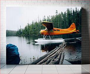 Πίνακας, Seaplane at a Forest Lake Υδροπλάνο σε λίμνη Forest