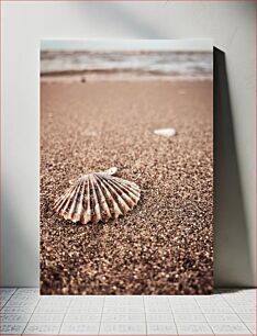 Πίνακας, Seashell on the Beach Κοχύλι στην παραλία