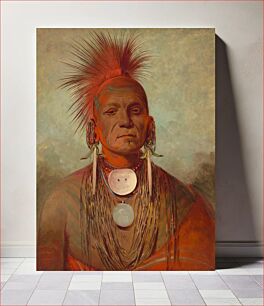 Πίνακας, See-non-ty-a, an Iowa Medicine Man (1844/1845) by George Catlin