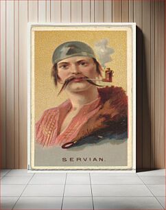 Πίνακας, Serbian, from World's Smokers series (N33) for Allen & Ginter Cigarettes