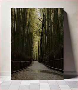 Πίνακας, Serene Bamboo Forest Path Γαλήνιο μονοπάτι του δάσους μπαμπού