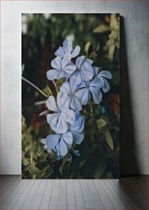 Πίνακας, Serene Blue Flowers Γαλήνια μπλε λουλούδια