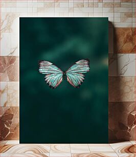Πίνακας, Serene Butterfly Γαλήνια Πεταλούδα