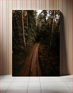 Πίνακας, Serene Forest Path Γαλήνιο Δασικό Μονοπάτι