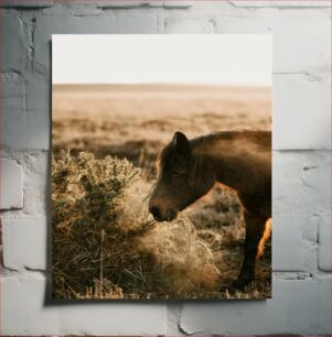 Πίνακας, Serene Horse in Nature Γαλήνιο άλογο στη φύση