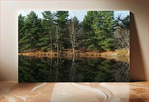 Πίνακας, Serene Lake Reflections Γαλήνιες αντανακλάσεις λίμνης