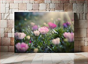 Πίνακας, Serene Pink Flowers in Sunlight Γαλήνια ροζ λουλούδια στο φως του ήλιου