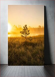 Πίνακας, Serene Sunrise in Marshland Γαλήνια Ανατολή στο Marshland