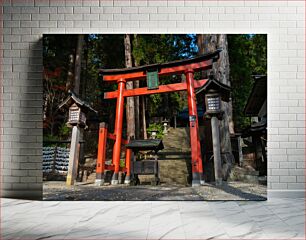 Πίνακας, Serene Torii Gate in a Japanese Forest Γαλήνια πύλη Torii σε ένα ιαπωνικό δάσος