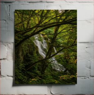 Πίνακας, Serene Waterfall in Lush Forest Γαλήνιος καταρράκτης στο καταπράσινο δάσος