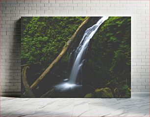 Πίνακας, Serene Waterfall in Lush Forest Γαλήνιος καταρράκτης στο καταπράσινο δάσος