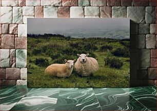 Πίνακας, Sheep in a Hazy Field Πρόβατα σε ένα μουντό χωράφι