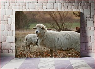 Πίνακας, Sheep in Countryside Πρόβατα στην ύπαιθρο
