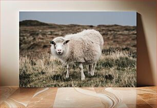 Πίνακας, Sheep in Field Πρόβατα στο χωράφι