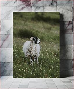 Πίνακας, Sheep in Meadow Πρόβατα στο Λιβάδι