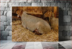 Πίνακας, Sheep Resting in Barn Πρόβατα Αναπαύονται σε Αχυρώνα