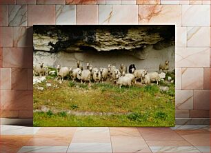 Πίνακας, Sheep Under Rock Shelter Πρόβατα κάτω από το καταφύγιο βράχου