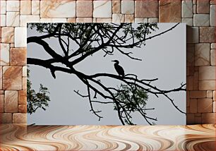 Πίνακας, Silhouette of a Bird on a Tree Branch Σιλουέτα ενός πουλιού σε ένα κλαδί δέντρου