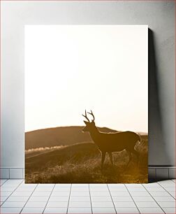 Πίνακας, Silhouette of a Deer at Sunset Σιλουέτα ενός ελαφιού στο ηλιοβασίλεμα