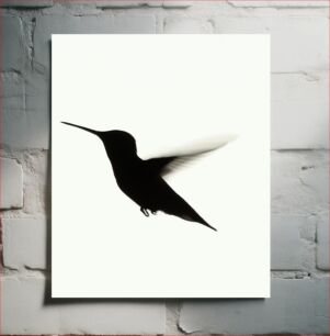 Πίνακας, Silhouette of a Hummingbird Σιλουέτα ενός κολιμπρί