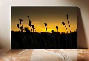 Πίνακας, Silhouette of Plants at Sunset Σιλουέτα των φυτών στο ηλιοβασίλεμα