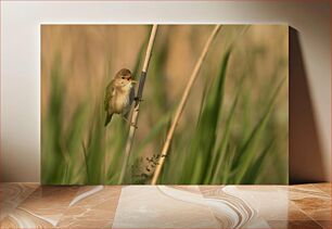 Πίνακας, Singing Bird in Nature Πουλί που τραγουδάει στη φύση