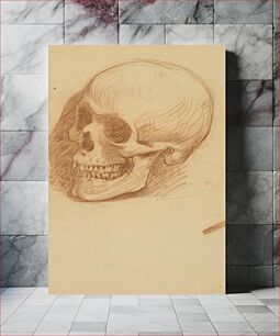 Πίνακας, Skull study by Milan Thomka Mitrovský