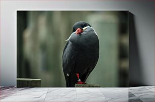 Πίνακας, Sleeping Bird Perched Sleeping Bird σκαρφαλωμένο