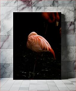 Πίνακας, Sleeping Flamingo Sleeping Flamingo