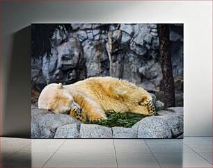 Πίνακας, Sleeping Polar Bear Κοιμωμένη Πολική Αρκούδα