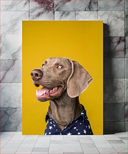 Πίνακας, Smiling Dog in Starry Shirt Χαμογελαστός σκύλος με έναστρο πουκάμισο