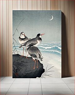 Πίνακας, Snipes at the Shore (1926) by Ohara Koson