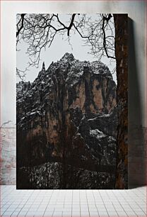 Πίνακας, Snow-Capped Mountain with Bare Trees Χιονισμένο βουνό με γυμνά δέντρα