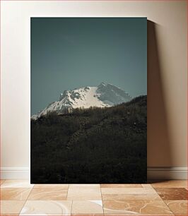 Πίνακας, Snow-Capped Mountain with Forest Χιονισμένο βουνό με δάσος