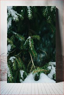 Πίνακας, Snow-Covered Pine Branches Χιονισμένα κλαδιά πεύκου