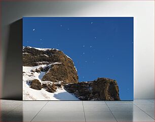 Πίνακας, Snowy Cliff and Birds Snowy Cliff and Birds