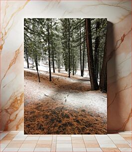 Πίνακας, Snowy Forest Path Χιονισμένο Δασικό Μονοπάτι