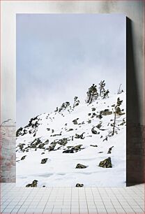 Πίνακας, Snowy Mountain with Trees Χιονισμένο βουνό με δέντρα