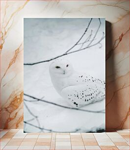 Πίνακας, Snowy Owl in Winter Landscape Χιονισμένη κουκουβάγια στο χειμερινό τοπίο