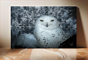 Πίνακας, Snowy Owl in Winter Χιονισμένη κουκουβάγια τον χειμώνα