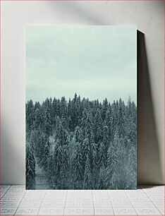 Πίνακας, Snowy Winter Forest Χιονισμένο Χειμωνιάτικο Δάσος