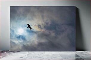 Πίνακας, Soaring Bird in the Sky Πουλί στα ύψη στον ουρανό